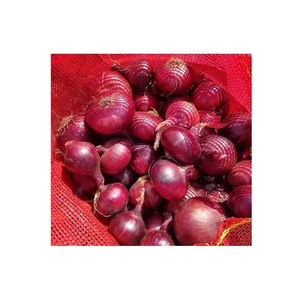 Oignons rouges abordables proposés pour les achats en gros et la distribution commerciale - Product Image 1