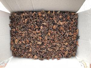 BLUE LOTUS Wholesale Vietnamese Origin Organic Whole Star <b>Anise</b> High Essential <b>Oil</b> Export Quality Reddish-brown to Dark Brown - Product Image 2