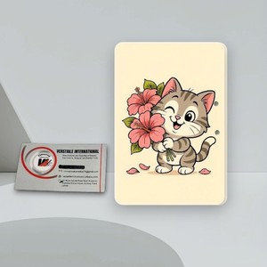 Plateau magnétique en acrylique pour extensions de cils, design chat et fleur, emballage rectangulaire en carton, outil de beauté - Product Image 3