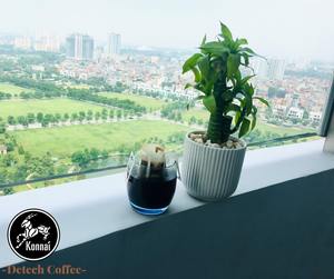 Produit chaud Café instantané vietnamien Arabica de qualité supérieure Saveur neutre de crème de noix de coco Emballage en boîte à prix compétitif - Product Image 6