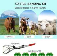 Nouvel outil de castration animale en acier inoxydable, pince à testicules pour bovins, pour usage clinique/hospitalier, haute performance