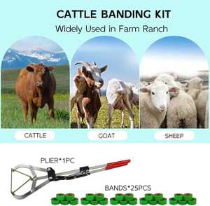 Nouvel outil de castration animale en acier inoxydable, pince à testicules pour bovins, spécifiques à l'élevage - Product Image 6