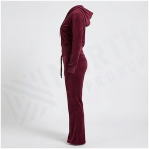 <b>Women</b> <b>Velvet</b> Hooded Tracksuit Full Length Zipper Sweatshirt Pants Set Solid Color Casual Autumn Wear - Product Image 3