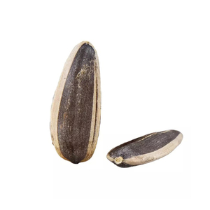 Vente directe usine : Graines de tournesol biologiques en vrac, purement naturelles, saines, de la dernière récolte - Product Image 2