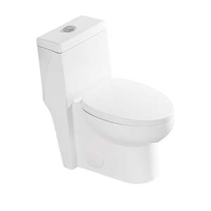 WC Monoblocco in Ceramica Bianca con Doppio Scarico e Sedile con Chiusura Ammortizzata, Qualità Premium - Product Image 1
