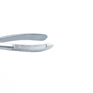 Pinzas de Extracción de Raíces Dentales Superiores de Acero Inoxidable de Alta Calidad con Agarre Ergonómico, Certificación CE, Fuente de Alimentación Manual - Product Image 4
