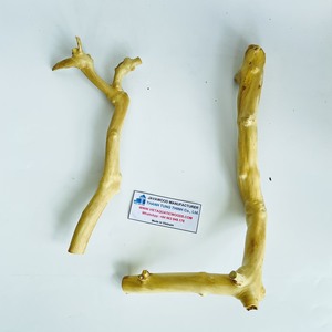 Perchoir pour oiseaux multi-branchements en bois flotté naturel, forme irrégulière, écologique, fabriqué au Vietnam - Product Image 4