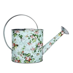 Regadera de Metal Esmaltado Pintada a Mano, de Alta Calidad, para Plantas de Interior y Exterior, Jardín, Macetas - Product Image 1