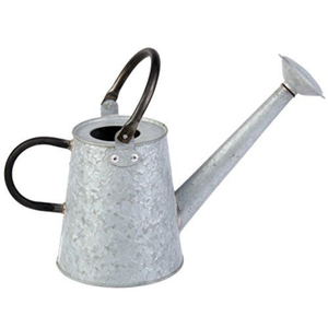 Arrosoir tendance en zinc galvanisé avec motif en relief pour l'entretien des plantes d'intérieur et d'extérieur - Product Image 2