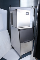 Macchina per Cubetti di Ghiaccio Automatica a Prezzo di Fabbrica, Capacità 300kg, Produttore di Ghiaccio Commerciale, Macchina per Blocchi di Ghiaccio, Raffreddamento ad Aria, Acciaio Inossidabile