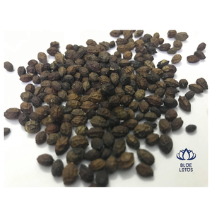 Semillas de Papaya Secas de Alta Pureza, Calidad de Exportación, Material para Procesamiento de Alimentos - Product Image 1