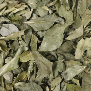 Private Label <b>Dried</b> <b>Curry</b> <b>Leaves</b> Supply For Retail Brands And International Distributors - Product Image 4