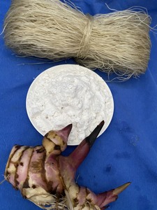Top Grade Organic Arrowroot Starch <b>Powder</b> smooth <b>texture</b> ideal for cooking and food industry sourced from Vietnam - Product Image 2