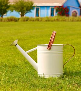 Decorative <b>Iron</b> Garden Water Can Decorative outdoor display <b>Lightweight</b> Garden Watering Can By Supplier At Bulk Price - Product Image 3