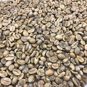 Grano de Café Robusta Premium para Venta al por Mayor y Suministro a Granel, Ideal para Tostar y Obtener un Sabor Fresco - Product Image 1