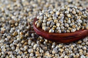 Ingrédient alimentaire de millet entier - Product Image 2