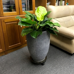 Support à fleurs circulaire en bois d'acacia MPL avec roulettes pour plantes d'intérieur, utilisation domestique et jardin, design minimaliste, diamètre 30 cm, capacité 60 kg - Product Image 4