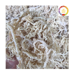Mousse de mer séchée |   Gel facile à préparer |   Eucheuma Cottonii Biologique |   Fournisseur en gros du Vietnam - Product Image 2