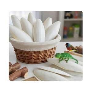 Choix Populaire : Os de Seiche Nettoyé, Riche en Calcium, Idéal pour Jouet de Rooster et Complément de Calcium pour Coquillages de Reptiles - Product Image 1