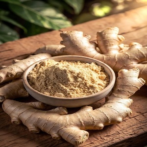 Wild Food Grade Natural Dehydrated Ginger Powder Fine Herbal <b>Spice</b> for Cooking Seasoning Bottle/Drum Packaging Wholesale Export - Product Image 2