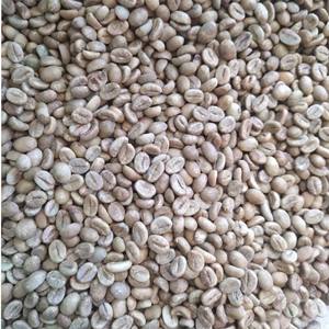 Prix compétitif Grains de café Arabica vert S18 Origine propre Lam Dong Vietnam Entièrement lavés Emballage en vrac Vente en gros - Product Image 1