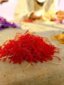 Safran de qualité supérieure, très aromatique, avec des stigmates longs de couleur rouge cramoisie foncé et des fleurs jaunes/orangées – un Croyau de Vie économique - Product Image 3