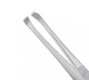 Pinzas para Tejidos de Acero Inoxidable con Etiqueta Personalizada a Precio Razonable / Pinzas para Tejidos de Nuevo Diseño en Oferta - Product Image 4