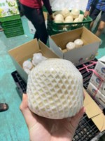 Vietnam Premium Diamant Geslepen Kokosnoot Vers En Heerlijk Drinken Kokosnoot Lange Houdbaarheid Verpakt Voor Export En Wereldwijde Verzending