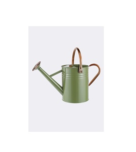 Regadera de metal estilo vintage de gran capacidad con mango cómodo para regar flores y plantas en balcones y terrazas. - Product Image 1