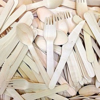 Cuillère jetable haut de gamme pour gâteaux, pâtisseries, glaces et desserts, 155 mm, en bois de bouleau, pour la restauration et les événements de banquet