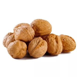 Proveedor mayorista de nueces de la mejor calidad a la venta a precio económico - Product Image 1