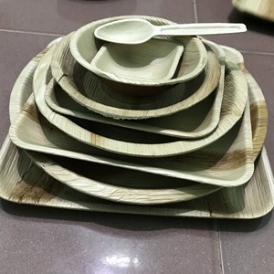 [HAUTE QUALITÉ] |   Assiettes jetables compostables biodégradables en feuilles de palmier de 10 pouces, lot de 50, pour fêtes, événements, traiteur, Vietnam - Product Image 2
