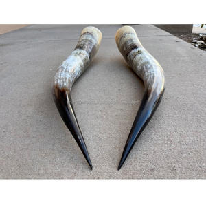 Pièce maîtresse en corne de boeuf faite à la main de décoration intérieure bohème de luxe pour les designers d'intérieur - Product Image 2