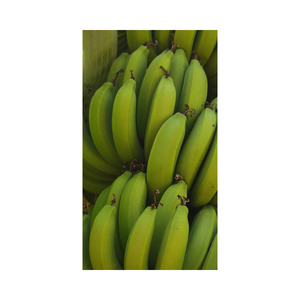 Bananes Plantains Cavendish Vertes Fraîches Tropicales Biologiques Grade 20kg Durée de Conservation de 2 Mois Stockage Frigorifique Approvisionnement Direct Ferme Vente en Gros - Product Image 1