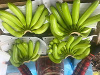 Vietnamese verse gele Cavendish bananen – zoet aroma, consistente kwaliteit voor export naar Nederland