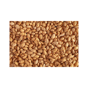 Almendras de California de alta calidad con cáscara, con precios al por mayor directos de fábrica - Product Image 6