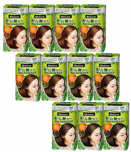 ครีมเปลี่ยนสีผมบลาวนีจากญี่ปุ่น สีน้ำตาลธรรมชาติ สำหรับผมขาว สูตรบำรุงและฟื้นฟู กลิ่นหอมอ่อนๆ สำหรับผู้ใหญ่ - Product Image 2