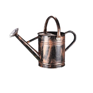 Standard Iron Metal Watering <b>Cane</b> Antique Finished Flower Planter Holder for Indoor & Outdoor <b>Garden</b> Use Leak Proof Water Cans - Product Image 1