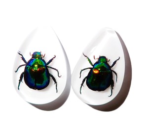 Cabochon en plastique de spécimen réel de scarabée coloré, taille poire, 46x30 mm, blanc, fond plat, pour artisanat et fabrication de bijoux - Product Image 5