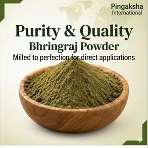 Polvere di Foglie di Bhringraj, Eclipta Alba Selvatica (Synonimo Eclipta Prostrata, Falsa Margherita, Keshraj King), Estratto Erboristico di Grado Alimentare 50 - Product Image 4
