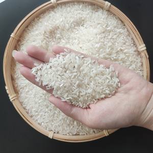 Arroz Camolino Calrose, Arroz Egipcio/Arroz de Grano Mediano en Bolsas de PP de 1kg-50kg, Bolsas de PAPE, Bolsas de BOPP - Product Image 2