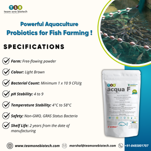 Alimento para Peces de Acuicultura con Probióticos, Suplemento Optimizado para Peces Sanos - Product Image 3