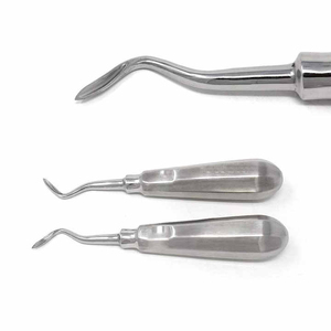 Élévateur dentaire à lame droite pour extraction de racine, instrument chirurgical dentaire manuel en acier inoxydable - Product Image 5