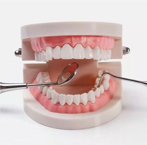 Kit d'examen dentaire 3 pièces - Kit d'hygiène bucco-dentaire - Kit d'examen dentaire Zarnab Surgical de qualité supérieure 3 pièces - Product Image 6