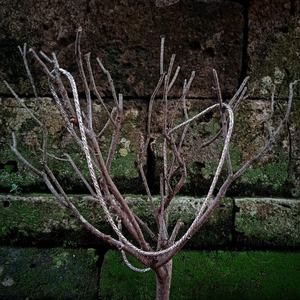 Gargantilla de plata esterlina de diseño clásico para hombre y mujer, collar de cadena con piedra principal de diamante y Perla, de diseño clásico, para hombre y mujer - Product Image 5