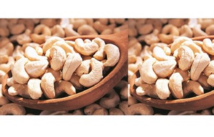 เม็ดมะม่วงหิมพานต์ดิบออร์แกนิค 100% เกรดพรีเมียม คุณภาพสูง W320 บรรจุภัณฑ์แบบขายส่ง - Product Image 2
