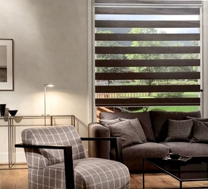 Modern Electric Dual Layer Zebra <b>Blinds</b> Horizontal Textile Built-in Blackout <b>Wide</b> Blade Sliding Window Minimalist Design - Product Image 1