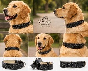 Collier pour chien en cuir véritable avec surpiqûres fantaisie d'inspiration équestre classique, vente en gros OEM de Divine International - Product Image 5