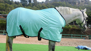 Équipement équestre personnalisé, couverture anti-mouches pour chevaux, vente en gros de produits équestres, couverture en maille anti-mouches pour chevaux avec capuche - Product Image 5