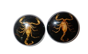 Escorpión Dorado, Espécimen Real, Cabujón de Plástico Redondo de 38x38 mm, Base Plana Negra para Manualidades y Joyería - Product Image 2